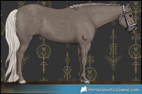 Horse Color:Silver Black 
