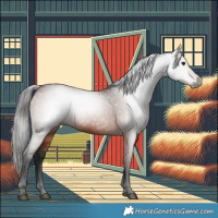 Horse Color:Gray Bay 