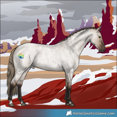Horse Color:Liver Red Dun Roan 