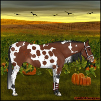 Horse Color:Bay Tobiano