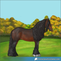 Horse Color:Brown 