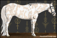 Horse Color:Cremello Sabino Leopard 