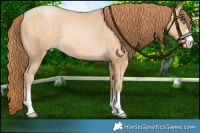 Horse Color:Chocolate Buckskin Pearl