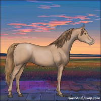 Horse Color:Black Pearl Sabino 