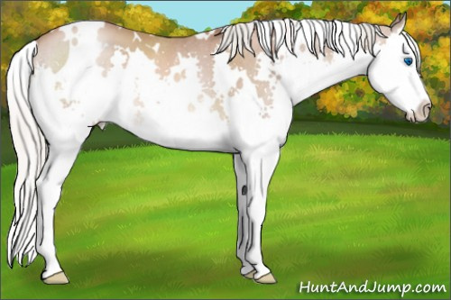 Horse Color:White Spotted Silver Brown Pearl Splash 