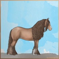 Horse Color:Black Pearl Sabino 