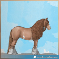 Horse Color:Black Pearl Sabino 