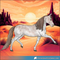 Horse Color:White Spotted Red Roan 