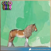 Horse Color:Gray Chocolate Palomino Dun Tobiano 