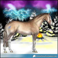 Horse Color:Chocolate Palomino Onyx Rabicano