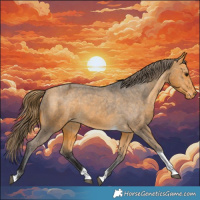 Horse Color:Buckskin Tobiano Varnish 
