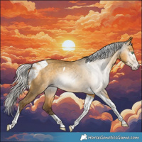 Horse Color:Gray Silver Amber Cream Champagne Dun Tobiano 