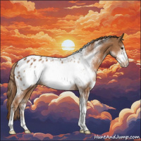 Horse Color:White Spotted Chestnut Frame Appaloosa Rabicano 