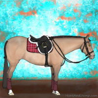 Horse Color:Amber Champagne Rabicano 
