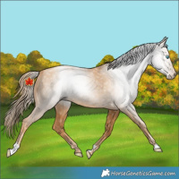Horse Color:Gray Gold Champagne Pearl