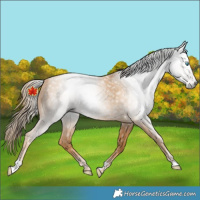 Horse Color:Gray Gold Champagne Pearl 