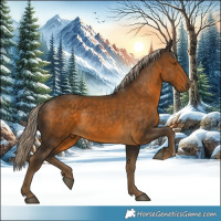 Horse Color:White Spotted Chocolate Palomino 