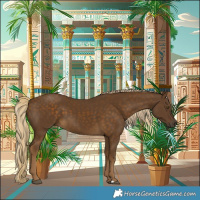 Horse Color:Chocolate Palomino 