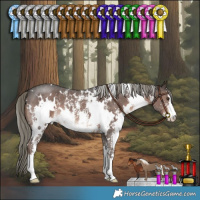 Horse Color:White Spotted Liver Chestnut Mushroom Sabino 