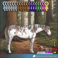 Horse Color:White Spotted Liver Chestnut Mushroom Sabino 