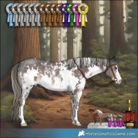 Horse Color:White Spotted Liver Chestnut Mushroom Sabino