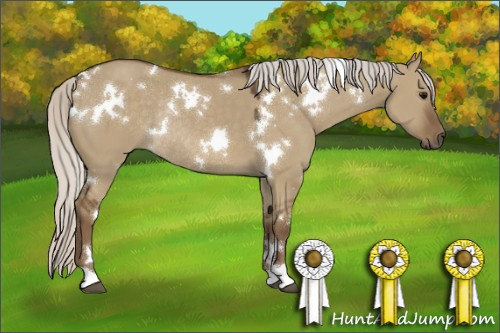 Horse Color:White Spotted Silver Smoky Grullo Rabicano 