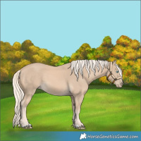 Horse Color:Cremello 