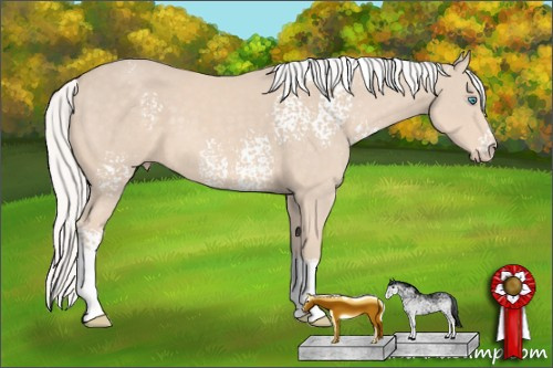 Horse Color:White Spotted Silver Smoky Creme Tobiano 