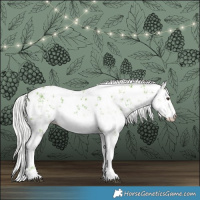 Horse Color:Watercolor White Spotted Liver Chestnut Ice Mushroom Sabino Rabicano 