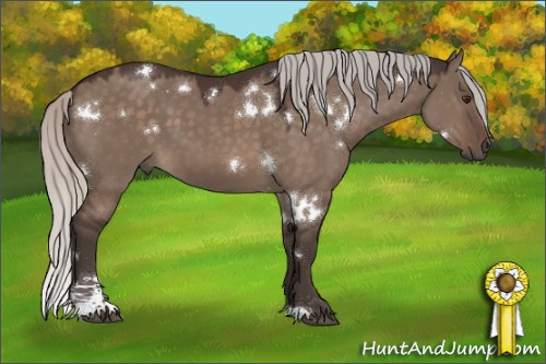 Horse Color:White Spotted Silver Brown Dun Mushroom Sabino 