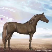 Horse Color:Chocolate Palomino 