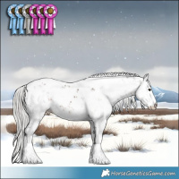Horse Color:Silver Brown Sabino
