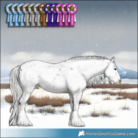 Horse Color:Silver Brown Sabino