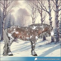 Horse Color:White Spotted Silver Brown Ice Sabino 