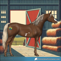 Horse Color:Chocolate Palomino Frame 