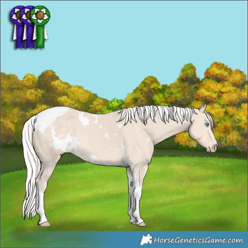Horse Color:White Spotted Silver Smoky Creme Tobiano 