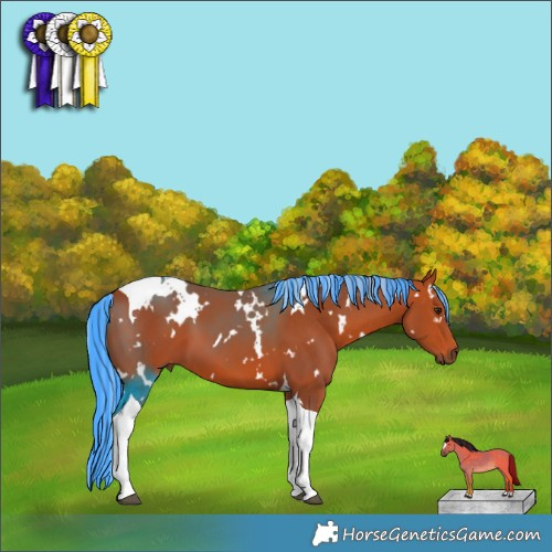 Horse Color:Painted White Spotted Silver Bay Tobiano 