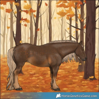 Horse Color:Chocolate Palomino 