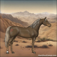 Horse Color:Chocolate Palomino 