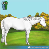 Horse Color:White Spotted Chocolate Palomino Chinchilla Dun Mushroom Brindle