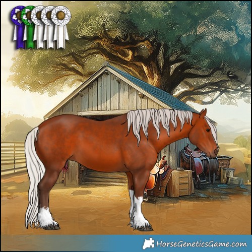 Horse Color:White Spotted Silver Brown Tobiano 