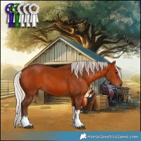 Horse Color:White Spotted Silver Brown Tobiano 