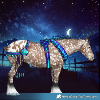 Horse Color:Gray Black Pearl Appaloosa