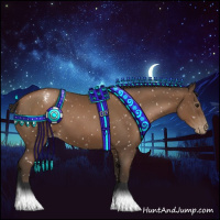 Horse Color:Gray Black Pearl Appaloosa