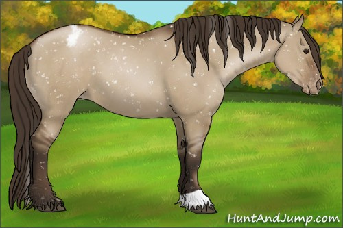 Horse Color:Gray Grullo Pearl Appaloosa 