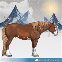 Horse Color:Chestnut 