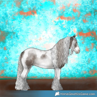 Horse Color:Silver Black Tobiano Frame 
