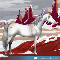 Horse Color:Gray Bay 