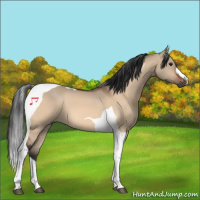 Horse Color:Bay Dun Tobiano 