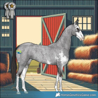 Horse Color:Smoky Blue Roan Sabino